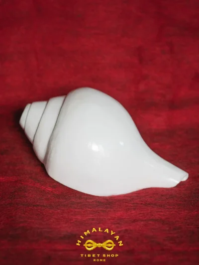 Conchiglia Rituale Shanka