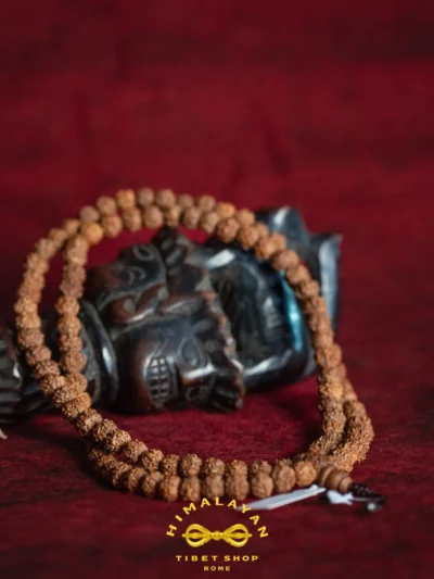 Mala 108 Grani in Semi di Rudraksha