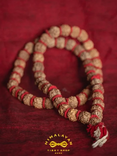Mala 54 Grani in Rudraksha